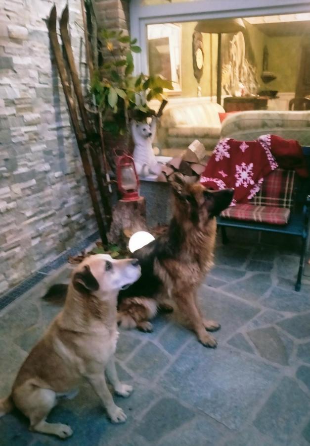 B&B Casa Dell'Orso Lurisia Ngoại thất bức ảnh